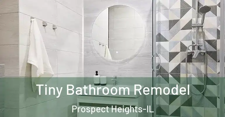 inner Bathroom imggen Tiny Bathroom Remodel Prospect Heights-IL