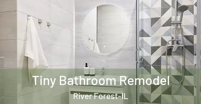 inner Bathroom imggen Tiny Bathroom Remodel River Forest-IL