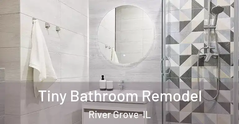 inner Bathroom imggen Tiny Bathroom Remodel River Grove-IL