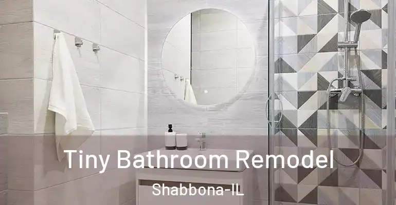 inner Bathroom imggen Tiny Bathroom Remodel Shabbona-IL