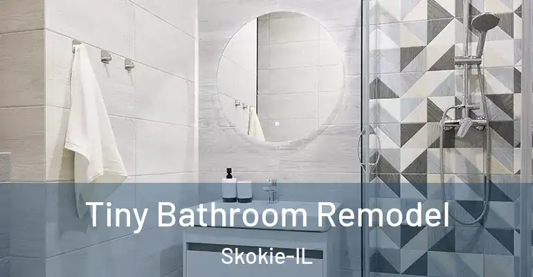 inner Bathroom imggen Tiny Bathroom Remodel Skokie-IL