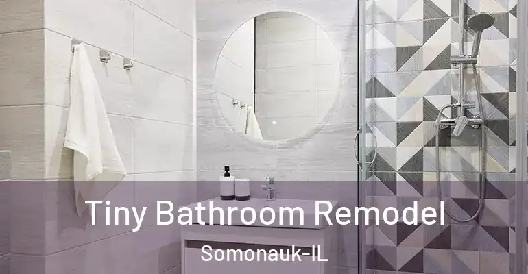 inner Bathroom imggen Tiny Bathroom Remodel Somonauk-IL