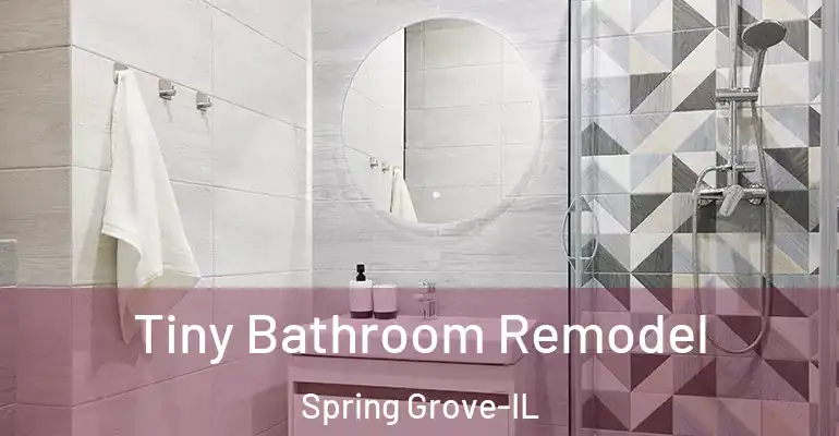 inner Bathroom imggen Tiny Bathroom Remodel Spring Grove-IL