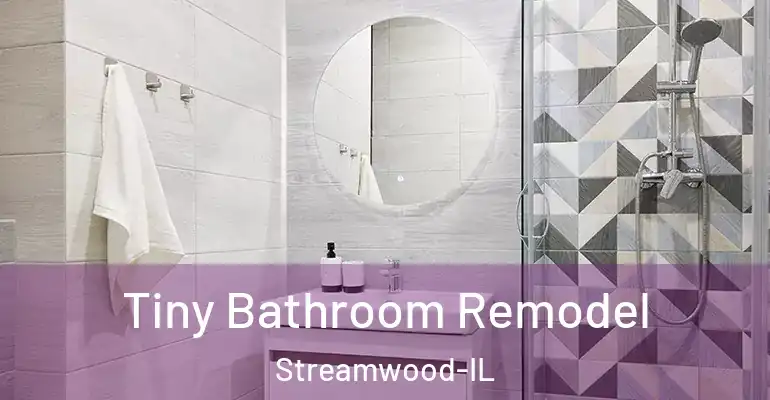inner Bathroom imggen Tiny Bathroom Remodel Streamwood-IL