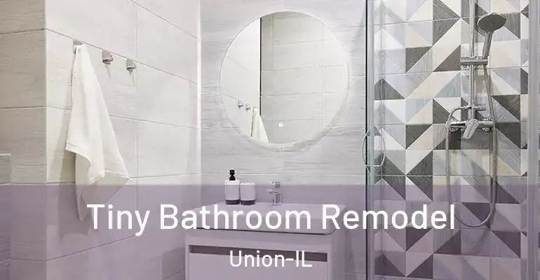 inner Bathroom imggen Tiny Bathroom Remodel Union-IL
