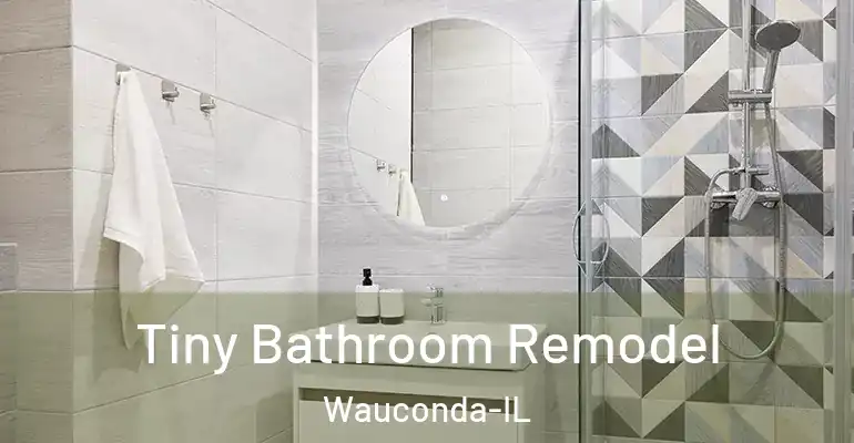 inner Bathroom imggen Tiny Bathroom Remodel Wauconda-IL