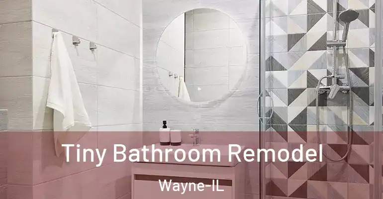 inner Bathroom imggen Tiny Bathroom Remodel Wayne-IL