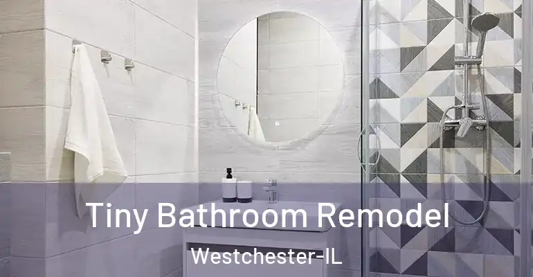 inner Bathroom imggen Tiny Bathroom Remodel Westchester-IL