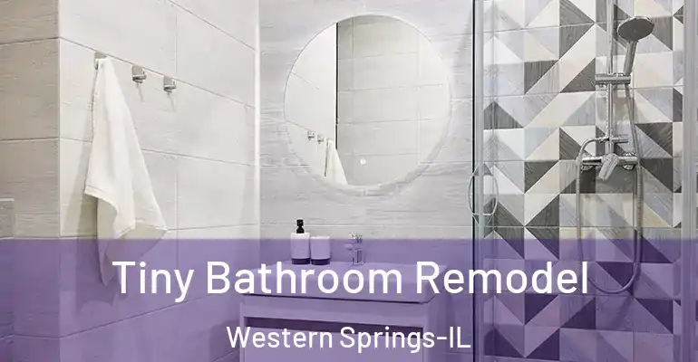 inner Bathroom imggen Tiny Bathroom Remodel Western Springs-IL