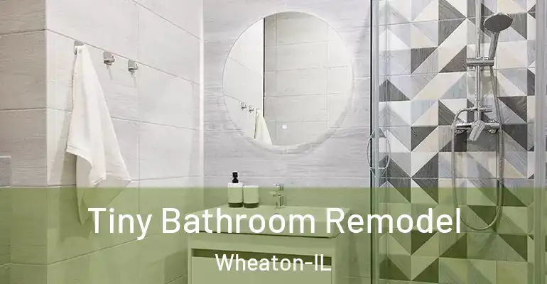 inner Bathroom imggen Tiny Bathroom Remodel Wheaton-IL