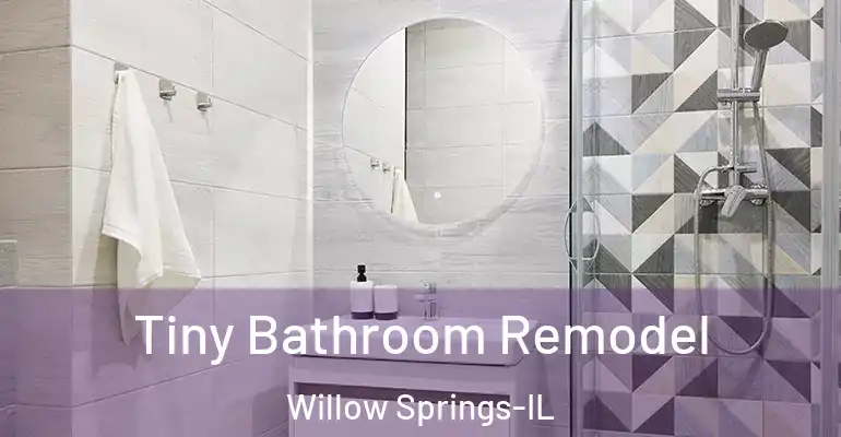 inner Bathroom imggen Tiny Bathroom Remodel Willow Springs-IL
