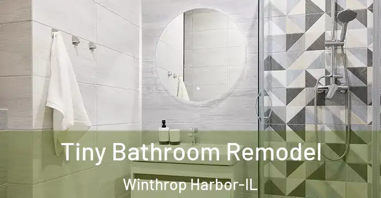 inner Bathroom imggen Tiny Bathroom Remodel Winthrop Harbor-IL