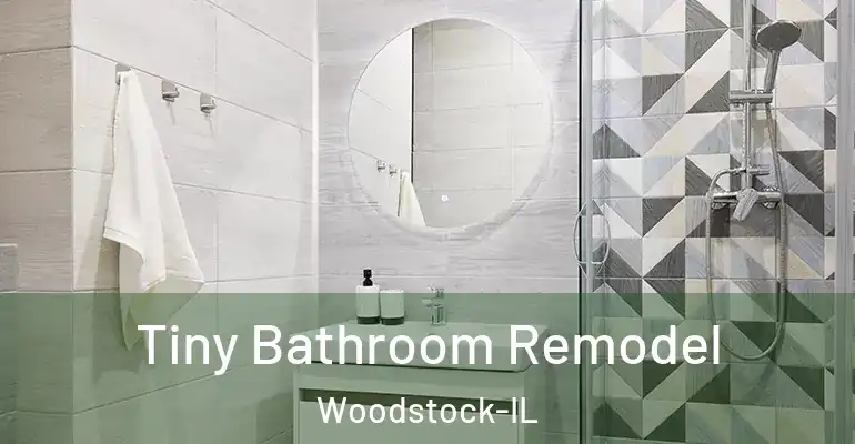 inner Bathroom imggen Tiny Bathroom Remodel Woodstock-IL