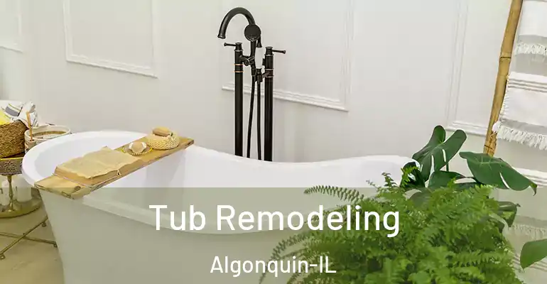 inner Bathroom imggen Tub Remodeling Algonquin-IL
