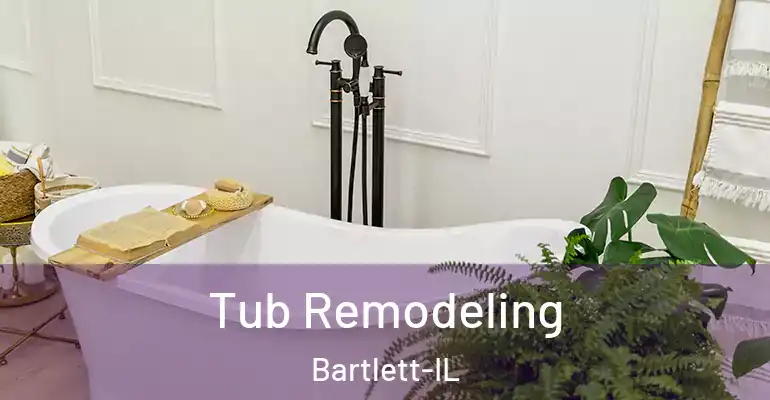 inner Bathroom imggen Tub Remodeling Bartlett-IL