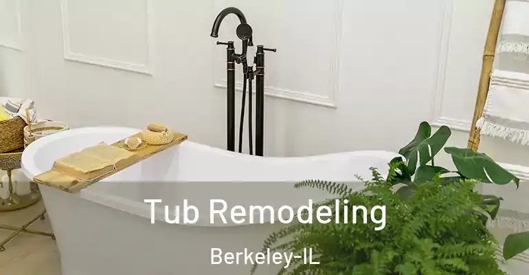 inner Bathroom imggen Tub Remodeling Berkeley-IL