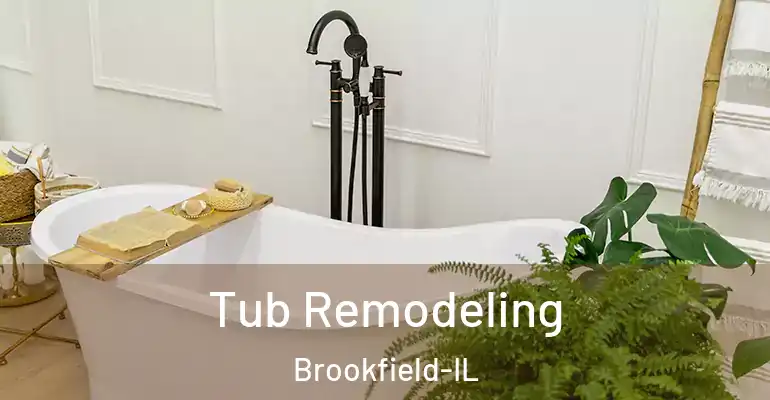 inner Bathroom imggen Tub Remodeling Brookfield-IL