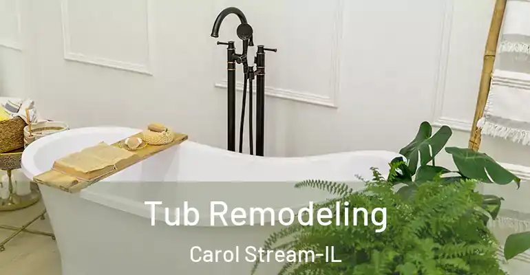 inner Bathroom imggen Tub Remodeling Carol Stream-IL
