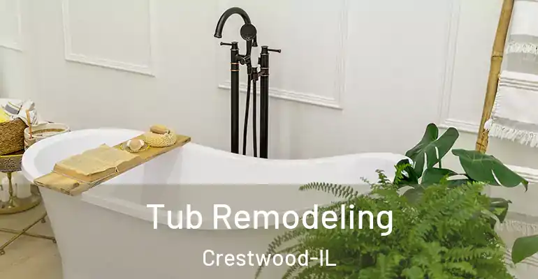 inner Bathroom imggen Tub Remodeling Crestwood-IL