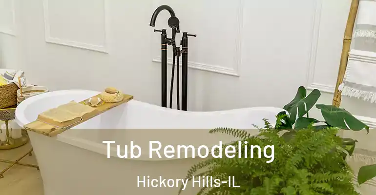 inner Bathroom imggen Tub Remodeling Hickory Hills-IL