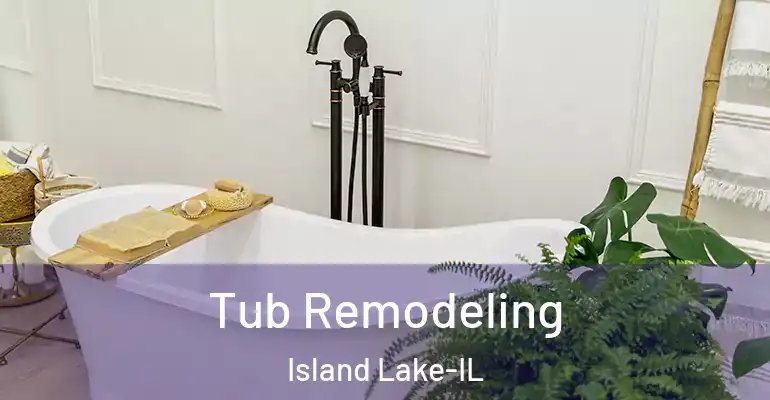 inner Bathroom imggen Tub Remodeling Island Lake-IL