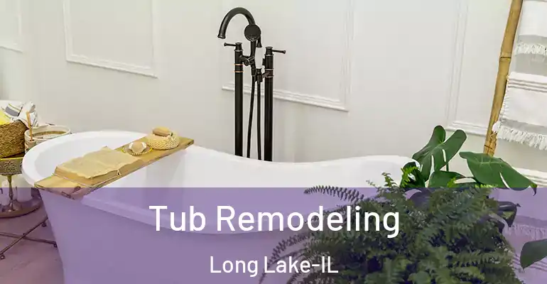 inner Bathroom imggen Tub Remodeling Long Lake-IL