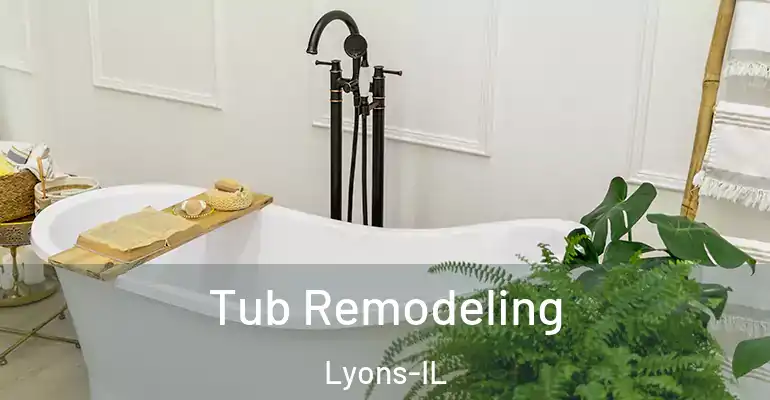 inner Bathroom imggen Tub Remodeling Lyons-IL