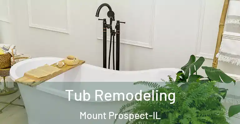 inner Bathroom imggen Tub Remodeling Mount Prospect-IL