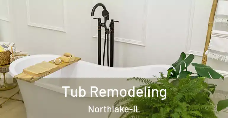inner Bathroom imggen Tub Remodeling Northlake-IL