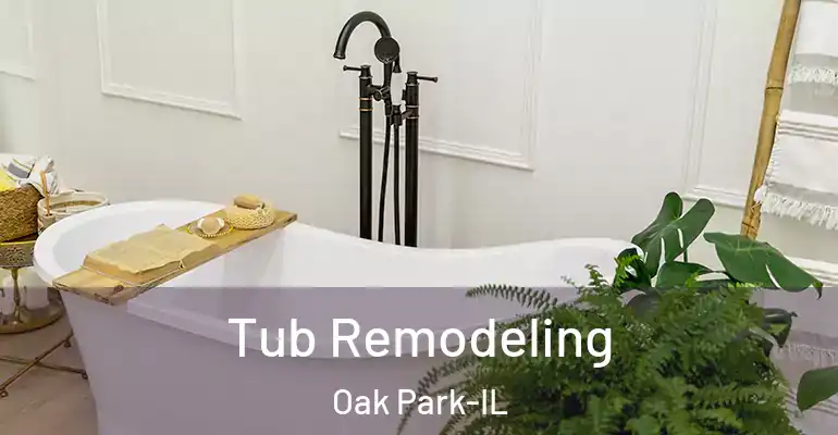 inner Bathroom imggen Tub Remodeling Oak Park-IL