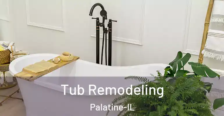 inner Bathroom imggen Tub Remodeling Palatine-IL