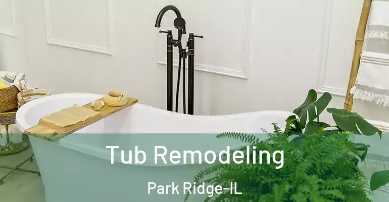 inner Bathroom imggen Tub Remodeling Park Ridge-IL
