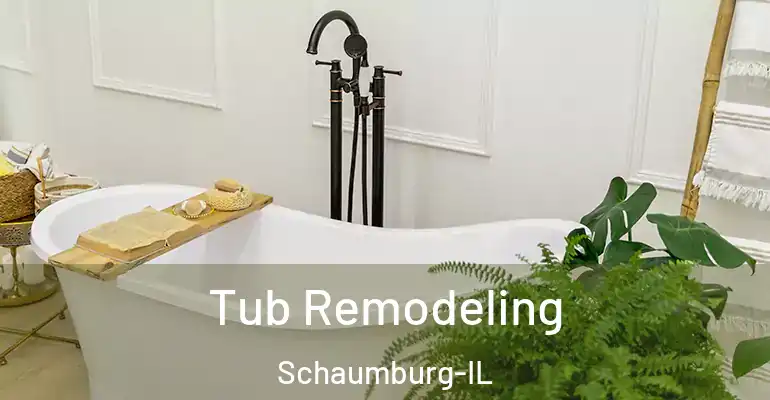 inner Bathroom imggen Tub Remodeling Schaumburg-IL