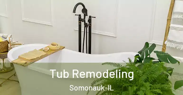 inner Bathroom imggen Tub Remodeling Somonauk-IL