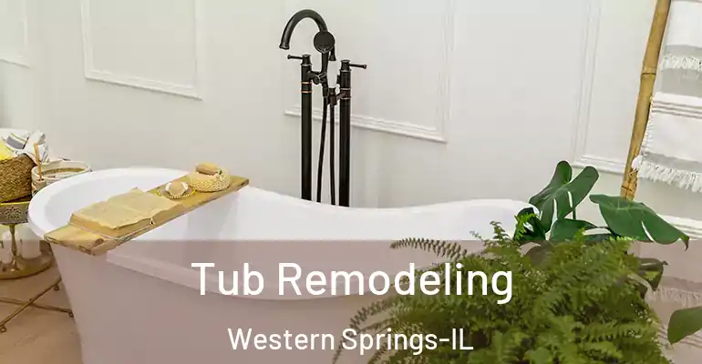 inner Bathroom imggen Tub Remodeling Western Springs-IL