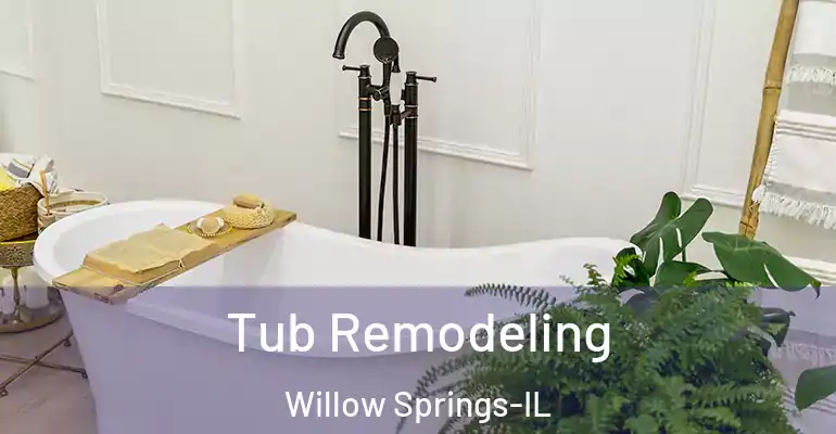 inner Bathroom imggen Tub Remodeling Willow Springs-IL