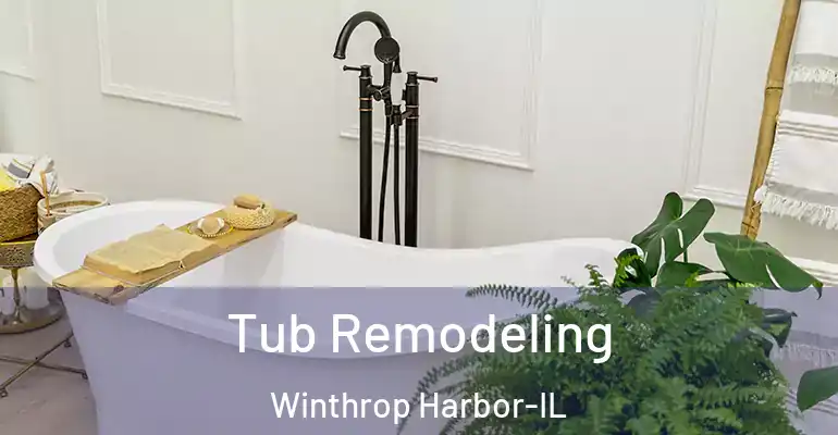 inner Bathroom imggen Tub Remodeling Winthrop Harbor-IL