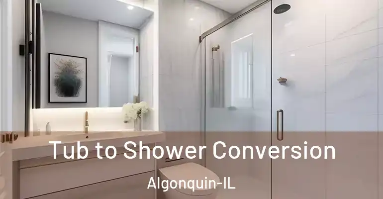 inner Bathroom imggen Tub to Shower Conversion Algonquin-IL
