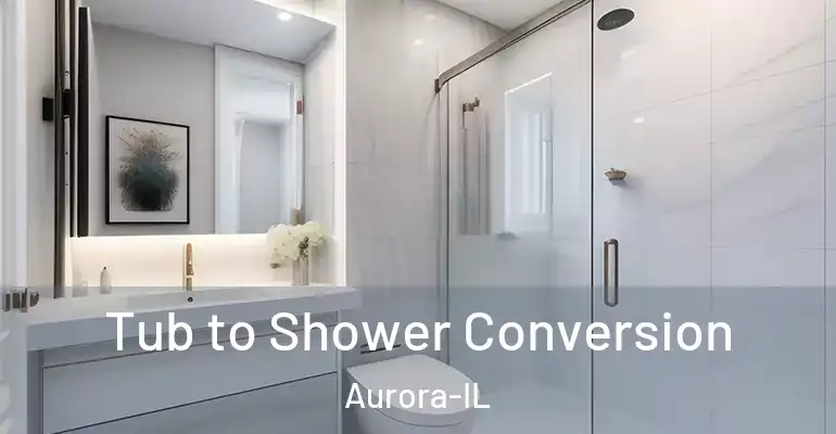 inner Bathroom imggen Tub to Shower Conversion Aurora-IL