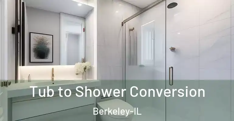 inner Bathroom imggen Tub to Shower Conversion Berkeley-IL
