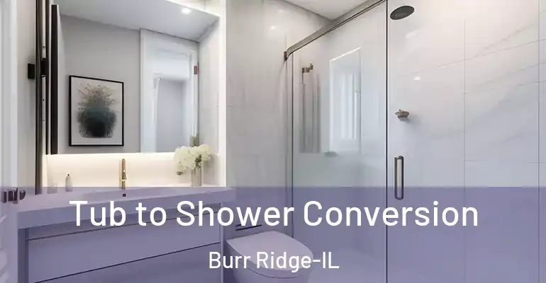 inner Bathroom imggen Tub to Shower Conversion Burr Ridge-IL