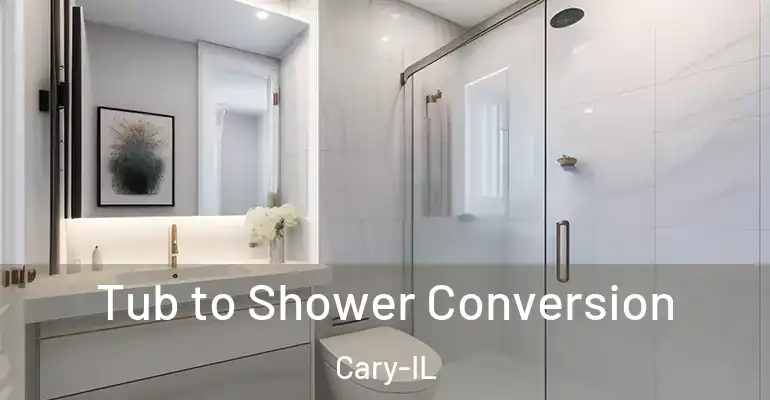 inner Bathroom imggen Tub to Shower Conversion Cary-IL