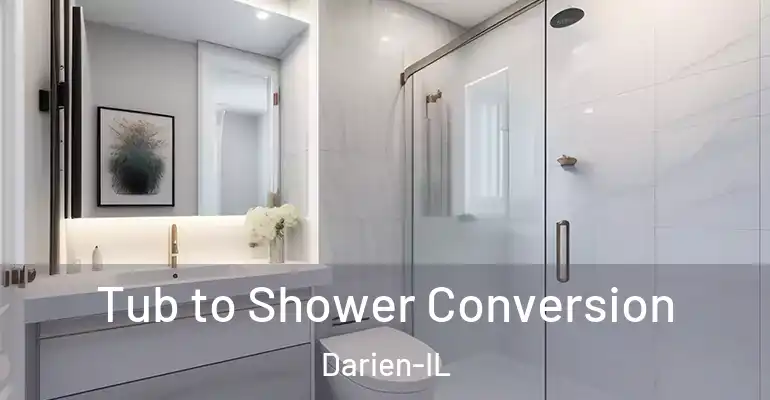 inner Bathroom imggen Tub to Shower Conversion Darien-IL