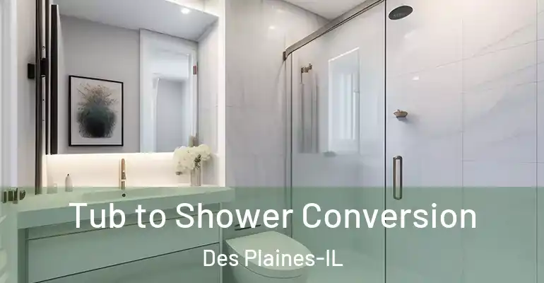 inner Bathroom imggen Tub to Shower Conversion Des Plaines-IL