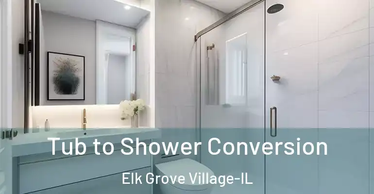 inner Bathroom imggen Tub to Shower Conversion Elk Grove Village-IL