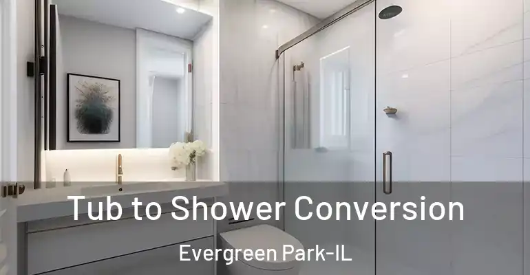 inner Bathroom imggen Tub to Shower Conversion Evergreen Park-IL