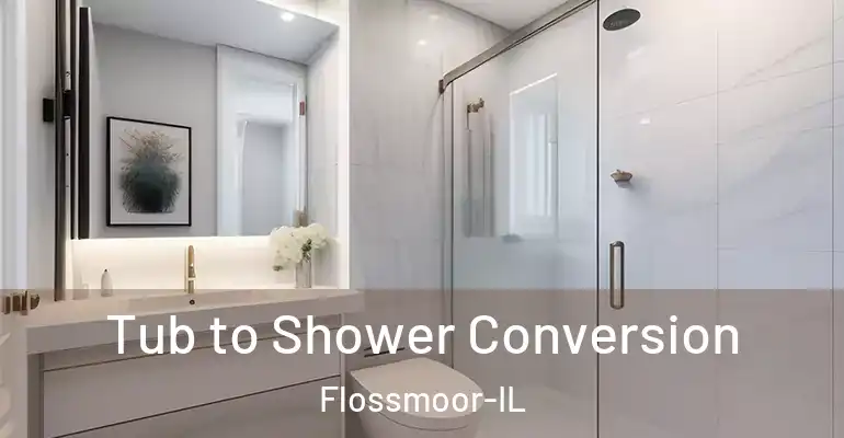 inner Bathroom imggen Tub to Shower Conversion Flossmoor-IL