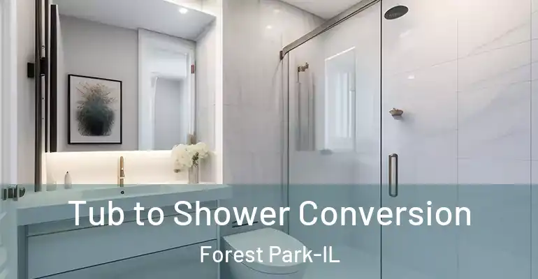 inner Bathroom imggen Tub to Shower Conversion Forest Park-IL