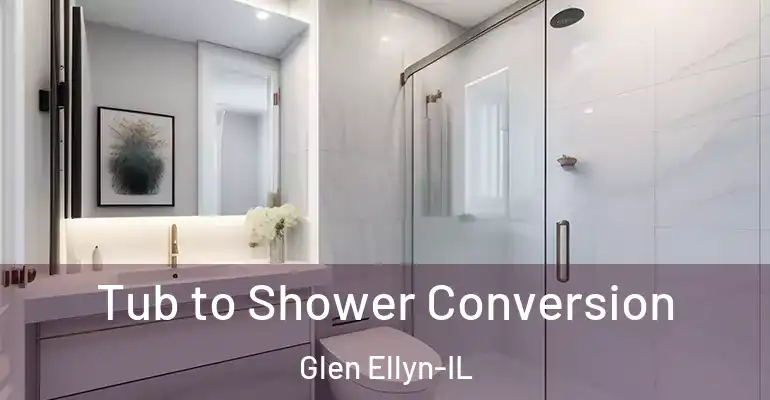 inner Bathroom imggen Tub to Shower Conversion Glen Ellyn-IL