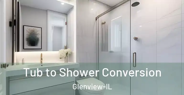 inner Bathroom imggen Tub to Shower Conversion Glenview-IL